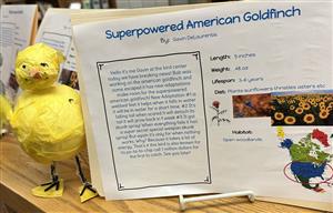 3rd Grade Project 2025 3.jpg